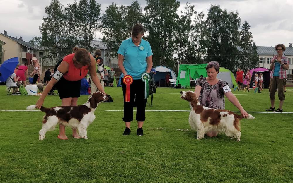 37656582_10156505351408934_3754827669074608128_o