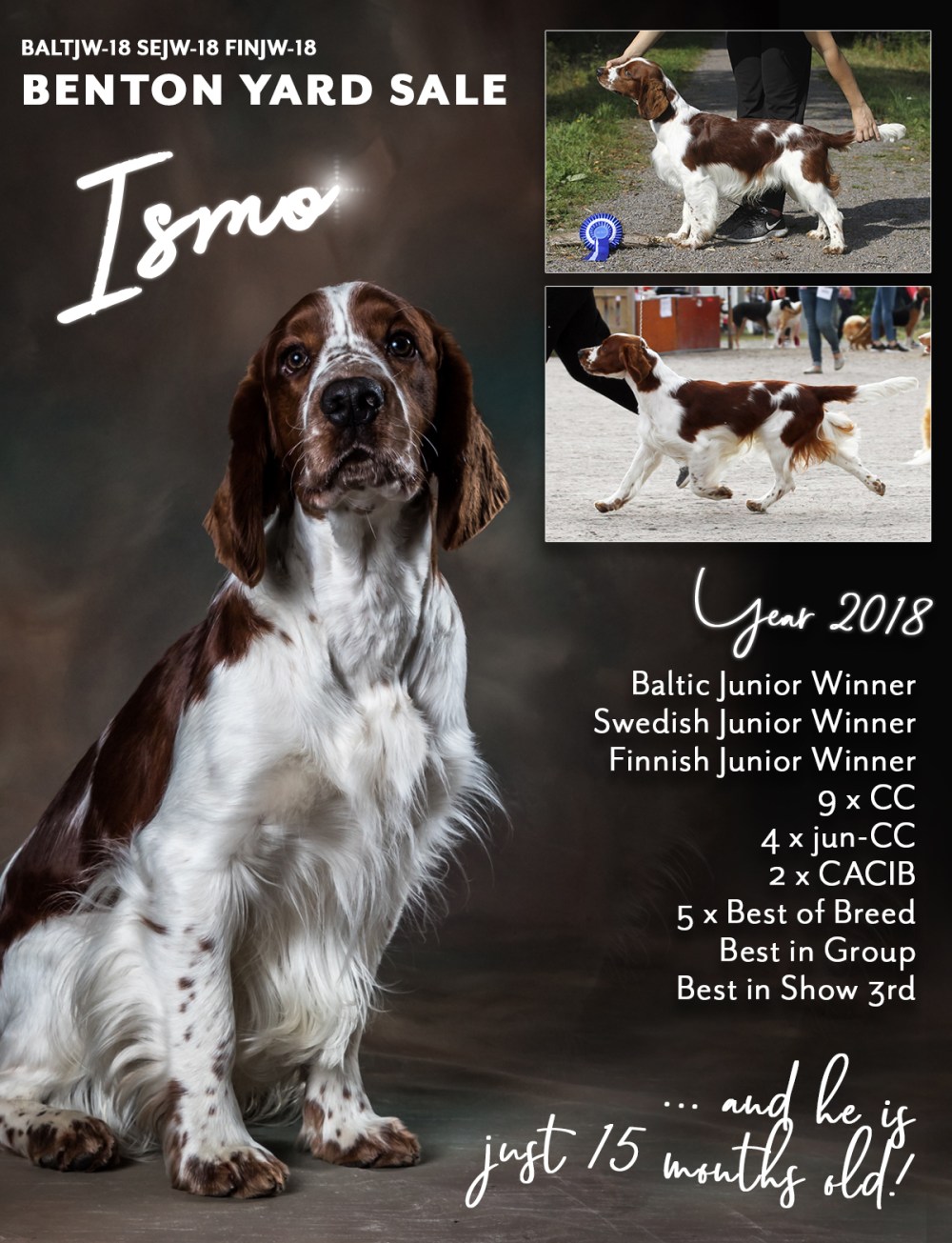 ismovuosimainos