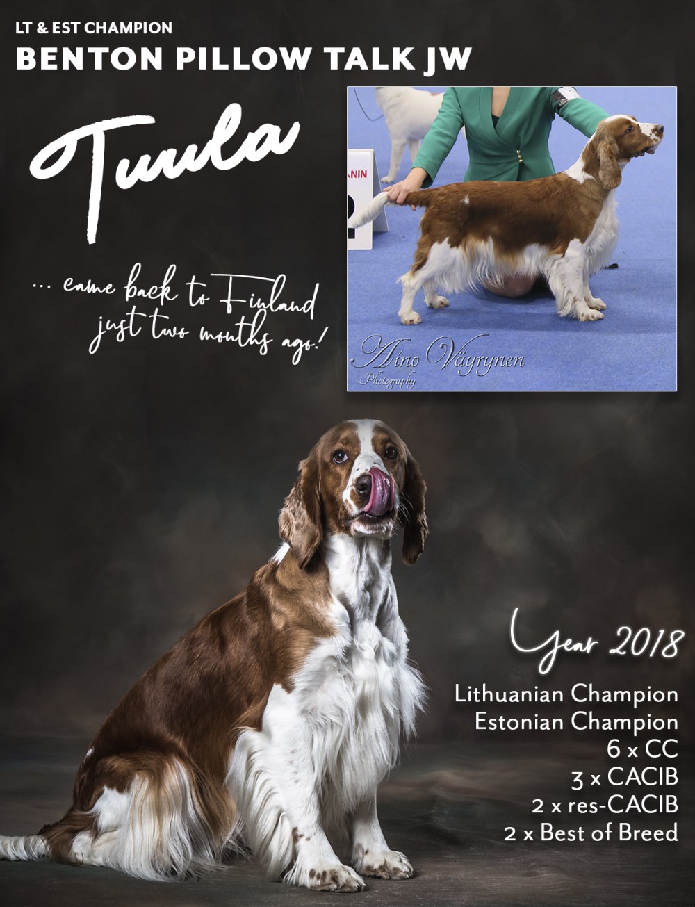 tuulavuosimainos