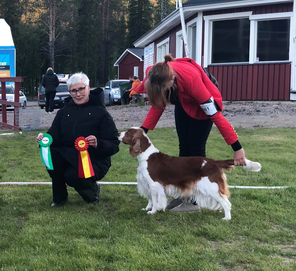 gallivare_tuula_rop