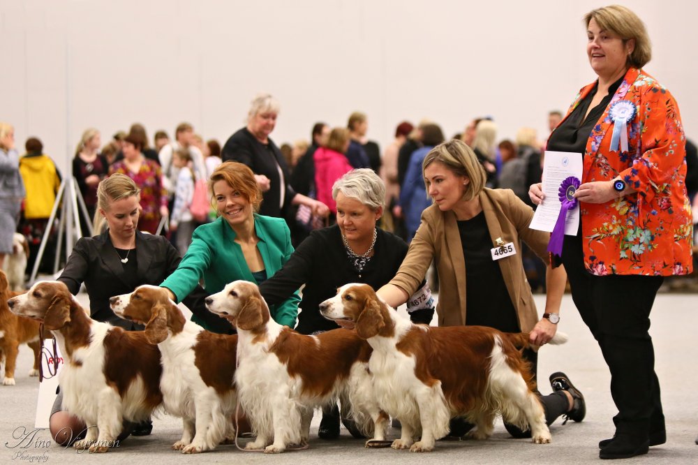 3aa Kennel Benton