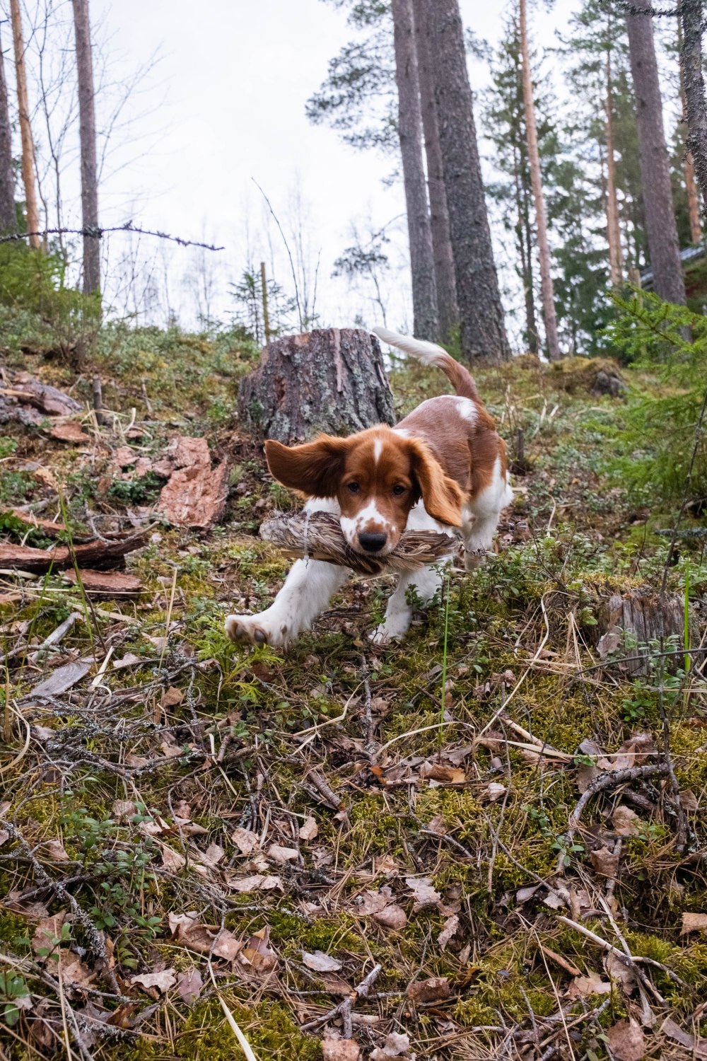 ulla_0520_02