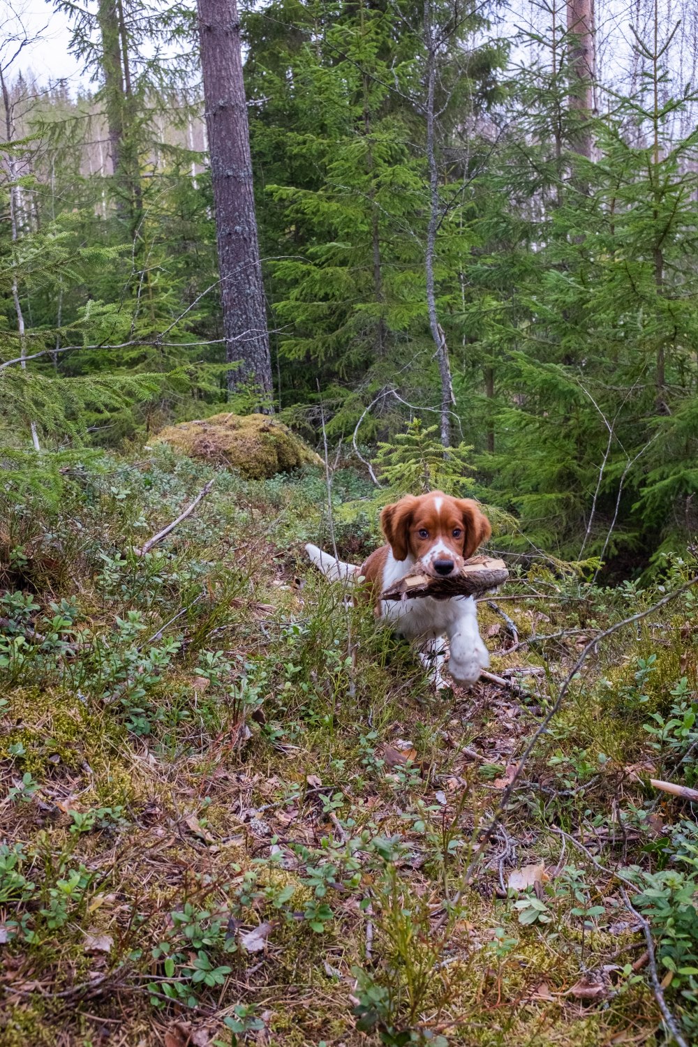 ulla_0520_03