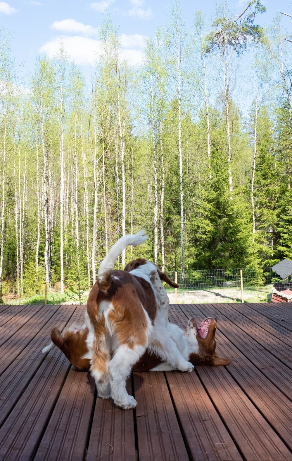 ullaseppo_02_04