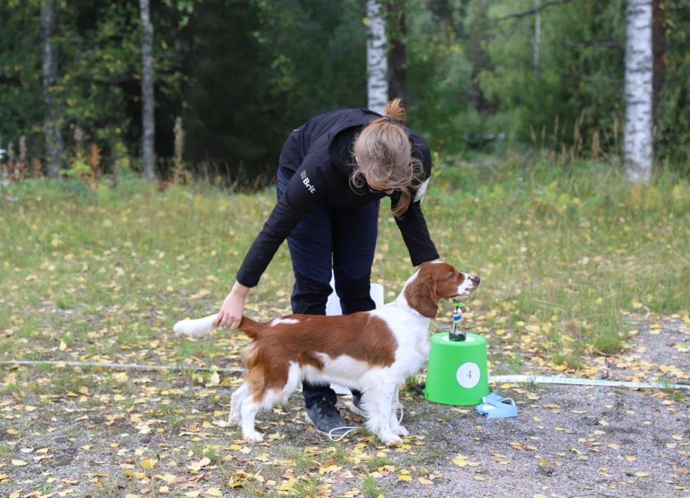 ulla_8kk